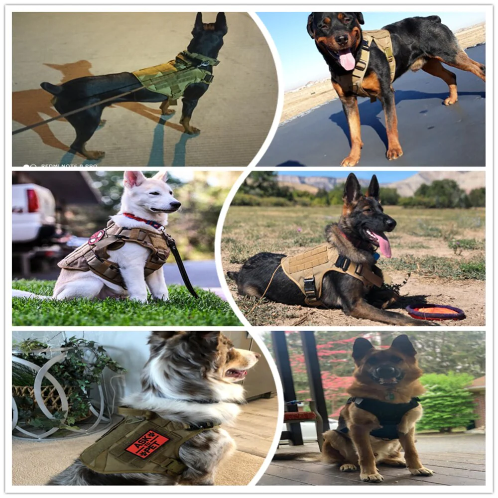 Tactical Adjustable Dog Harness