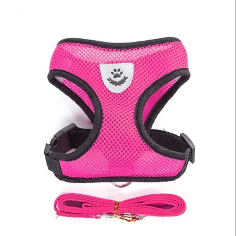 AirMesh Reflective Pet Harness & Leash Set