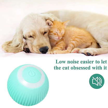 Smart Self-Rolling Pet Ball Toy