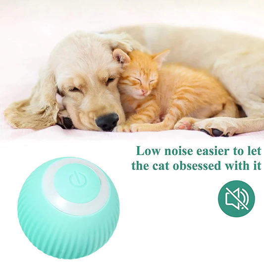 Smart Self-Rolling Pet Ball Toy